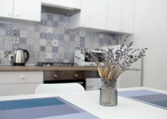 Historical Center Of إلفيف